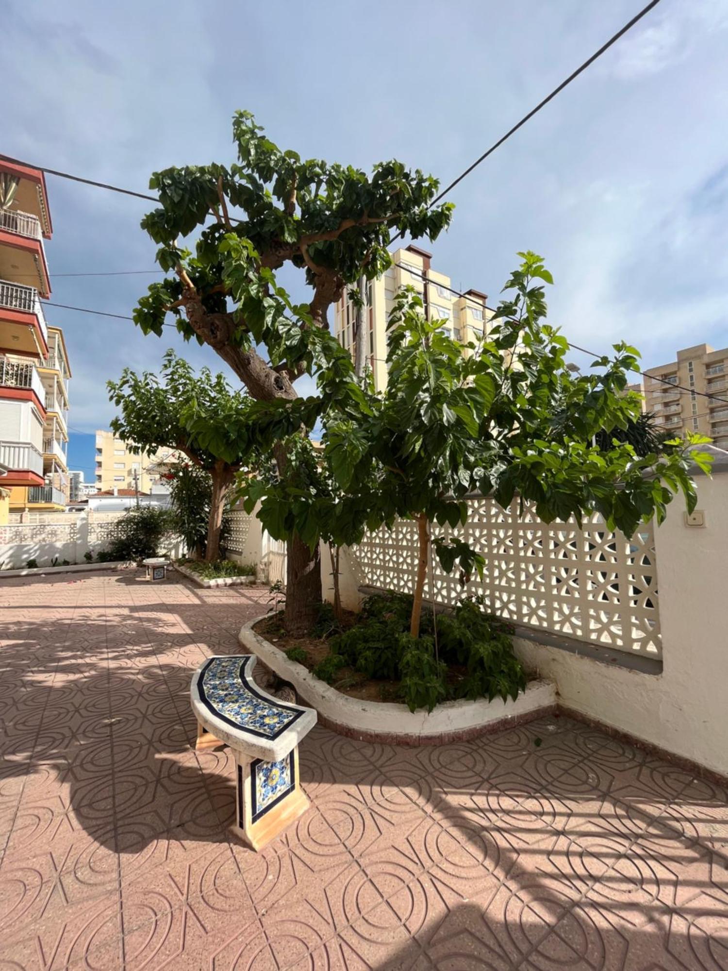 Rincon De Maria- Segunda Linea De Playa-Ganador Traveller Awards 2025 Appartement Playa de Gandia Buitenkant foto