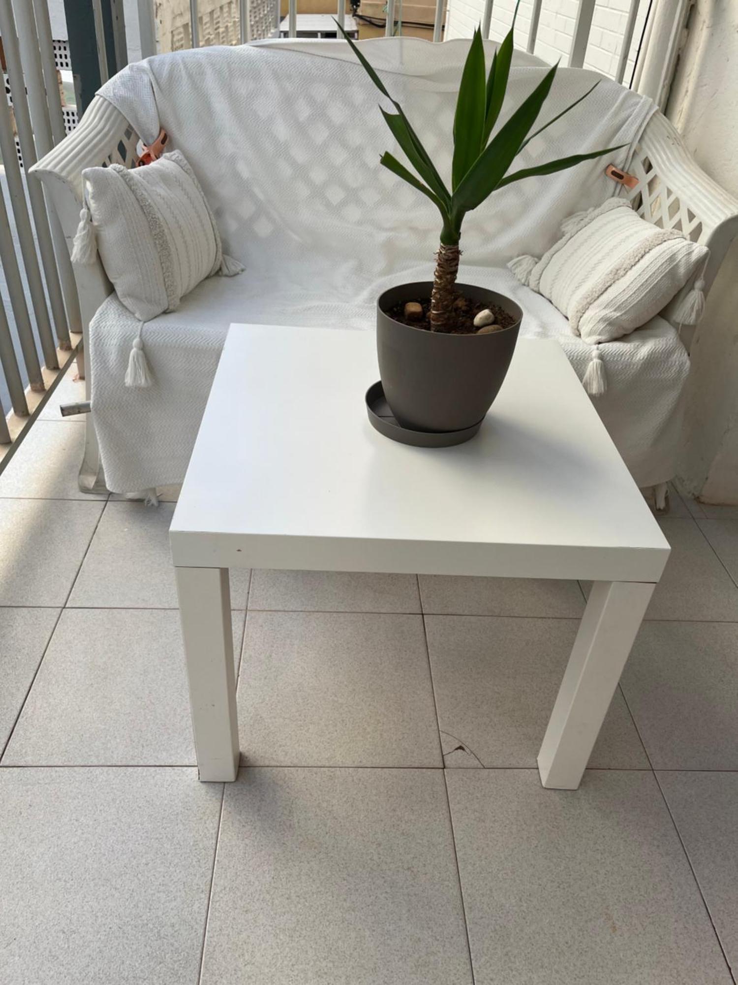 Rincon De Maria- Segunda Linea De Playa-Ganador Traveller Awards 2025 Appartement Playa de Gandia Buitenkant foto
