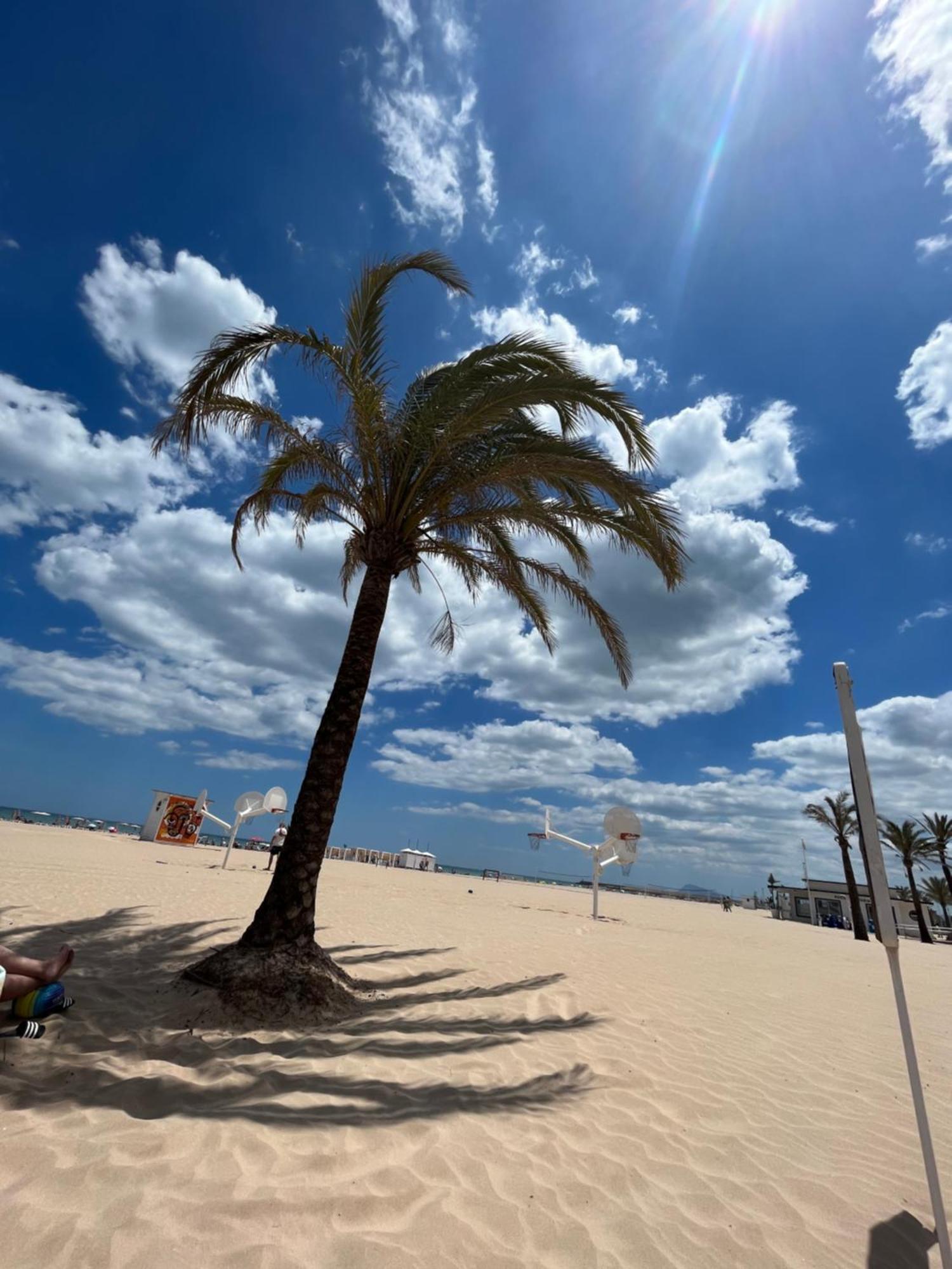 Rincon De Maria- Segunda Linea De Playa-Ganador Traveller Awards 2025 Appartement Playa de Gandia Buitenkant foto